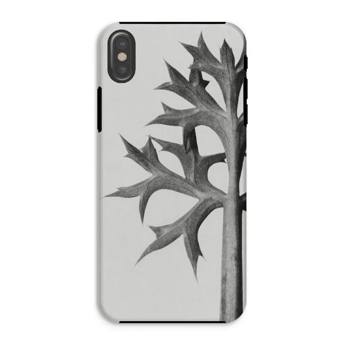 Eryngium Bourgatii (mediterranean Sea Holly) - Karl Blossfeldt Iphone Case - Xs / Matte