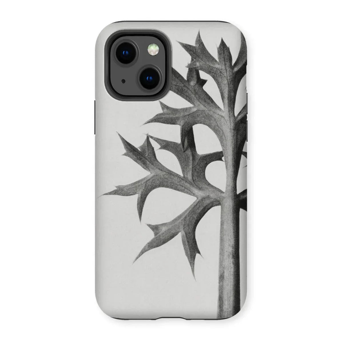 Eryngium Bourgatii (mediterranean Sea Holly) - Karl Blossfeldt Iphone Case - 13 / Matte