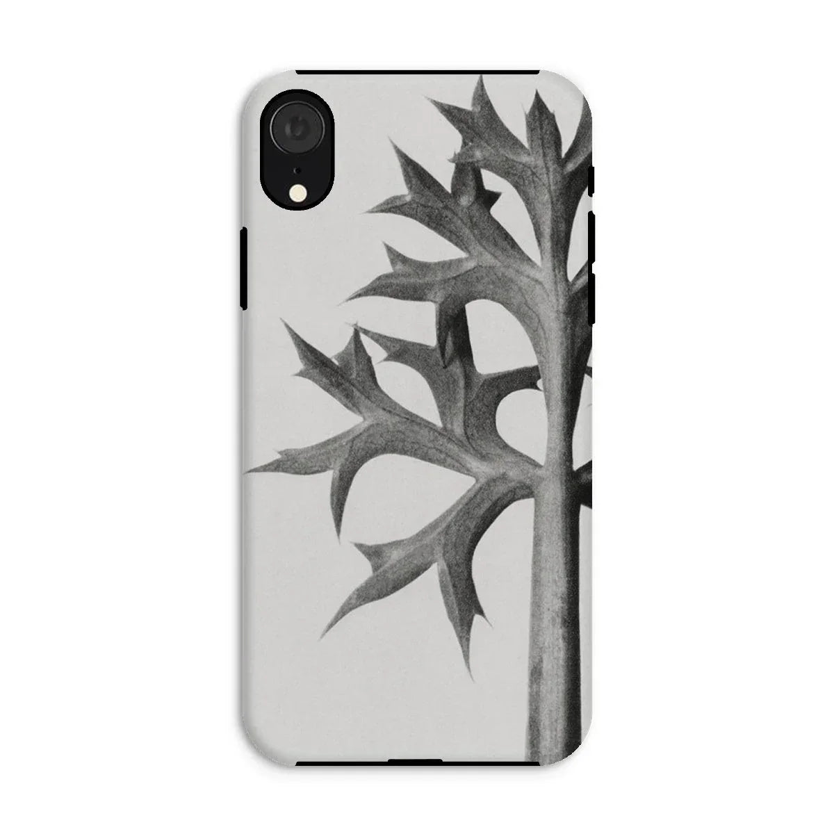 Eryngium Bourgatii (mediterranean Sea Holly) - Karl Blossfeldt Iphone Case - Xr / Matte