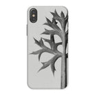 Eryngium Bourgatii (mediterranean Sea Holly) - Karl Blossfeldt Iphone Case x / Matte Mobile Phone Cases