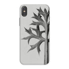 Eryngium Bourgatii (mediterranean Sea Holly) Karl Blossfeldt Iphone Case, x / Matte, Phone Case Black White Design Thorny Plant Stem