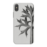Eryngium Bourgatii (mediterranean Sea Holly) - Karl Blossfeldt Iphone Case, x / Matte, Phone Case Black White Design Thorny Plant Stem