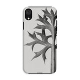 Eryngium Bourgatii (mediterranean Sea Holly) - Karl Blossfeldt Iphone Case, Xr / Matte, Phone Case Black White Design Thorny Plant Stem