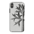 Eryngium Bourgatii (mediterranean Sea Holly) Karl Blossfeldt Iphone Case, Xs / Matte, Phone Case Black White Design Thorny Plant Stem