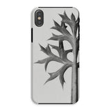 Eryngium Bourgatii (mediterranean Sea Holly) - Karl Blossfeldt Iphone Case, Xs / Matte, Phone Case Black White Design Thorny Plant Stem