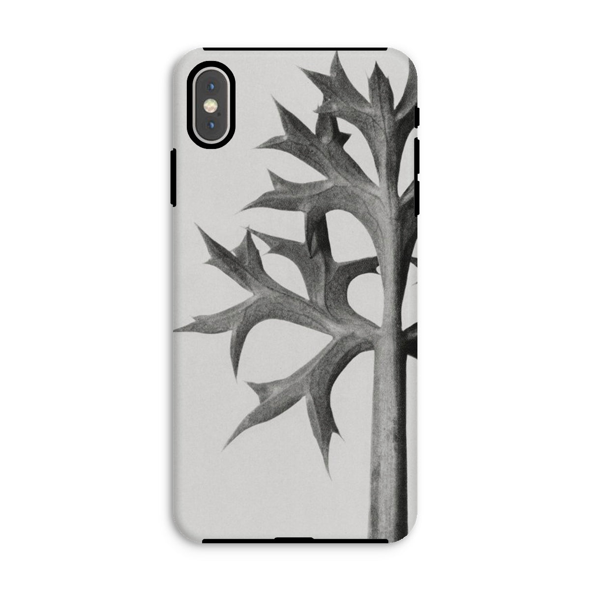 Eryngium Bourgatii (mediterranean Sea Holly) Karl Blossfeldt Iphone Case, Xs Max / Matte, Phone Case Black White Botanical Design Leaf