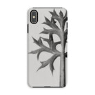 Eryngium Bourgatii (mediterranean Sea Holly) Karl Blossfeldt Iphone Case, Xs Max / Matte, Phone Case Black White Botanical Design Leaf