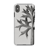 Eryngium Bourgatii (mediterranean Sea Holly) - Karl Blossfeldt Iphone Case, Xs Max / Matte, Phone Case Black White Botanical Design Leaf