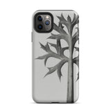 Eryngium Bourgatii (mediterranean Sea Holly) - Karl Blossfeldt Phone Case Gray Phone Case Leaf Design Karl Blossfeldt, Blossfeldt’s