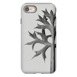 Eryngium Bourgatii (mediterranean Sea Holly) - Karl Blossfeldt Phone Case, Karl Blossfeldt, Blossfeldt’s Botanical Enigma, Mediterranean