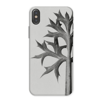 Eryngium Bourgatii (mediterranean Sea Holly) - Karl Blossfeldt Phone Case Iphone x / Matte Phone Case Black White Design Thorny Plant Stem