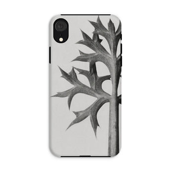 Eryngium Bourgatii (mediterranean Sea Holly) - Karl Blossfeldt Phone Case, Karl Blossfeldt, Blossfeldt’s Botanical Enigma, Mediterranean