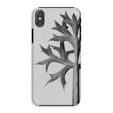 Eryngium Bourgatii (mediterranean Sea Holly) - Karl Blossfeldt Phone Case, Karl Blossfeldt, Blossfeldt’s Botanical Enigma, Mediterranean