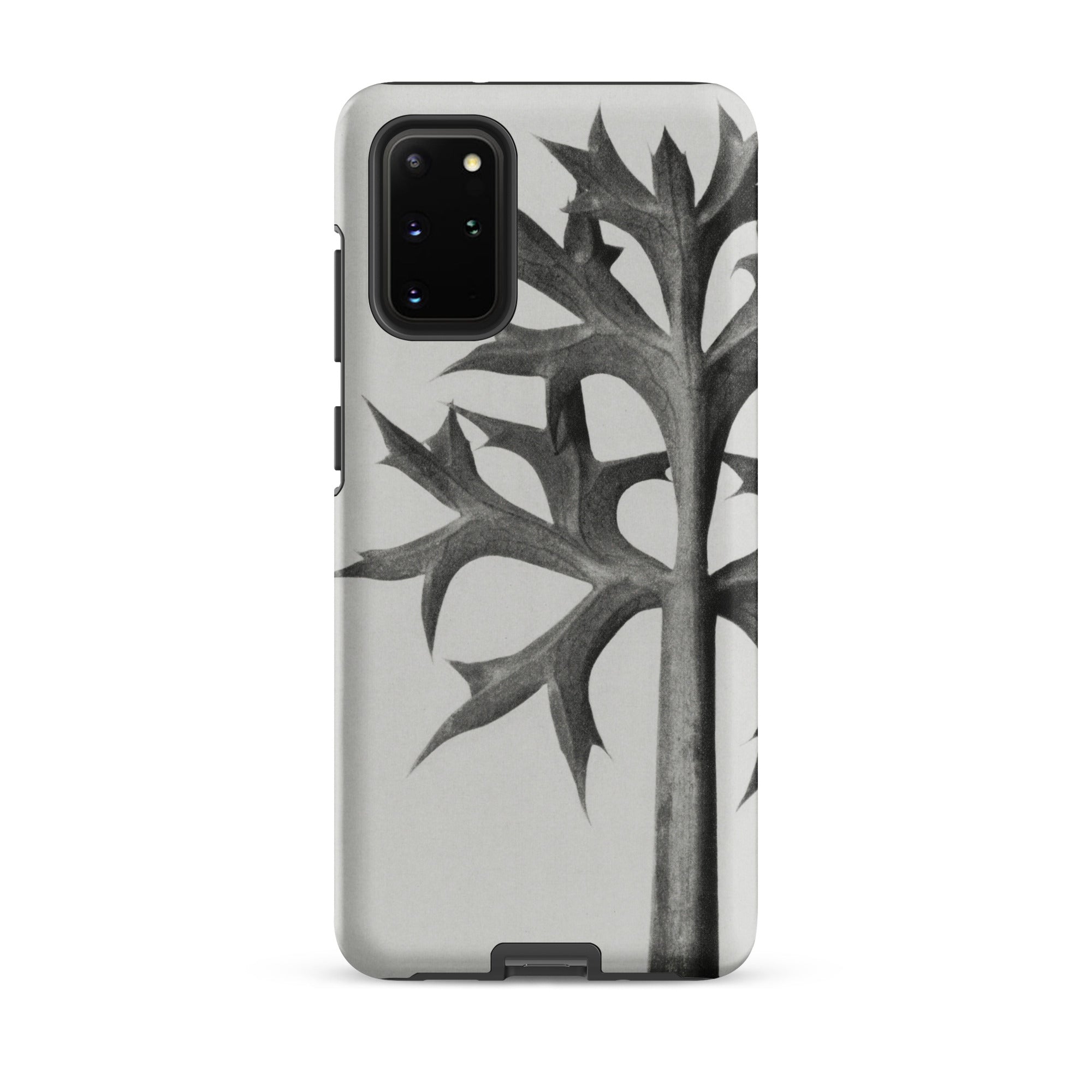 Eryngium Bourgatii (mediterranean Sea Holly) Karl Blossfeldt Samsung Case, Galaxy S20 Plus / Matte, Phone Case Black White Leaf Design