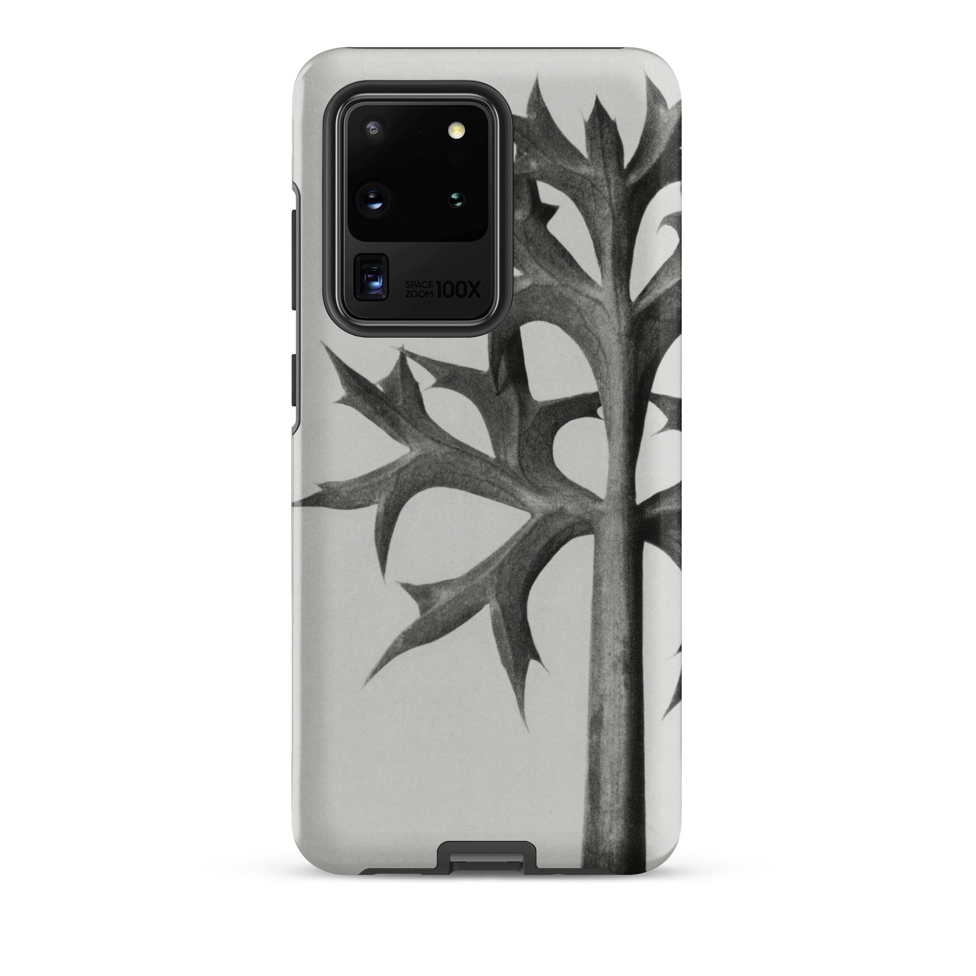 Eryngium Bourgatii (mediterranean Sea Holly) Karl Blossfeldt Samsung Case, Galaxy S20 Ultra / Matte, Grey Smartphone Case Black White