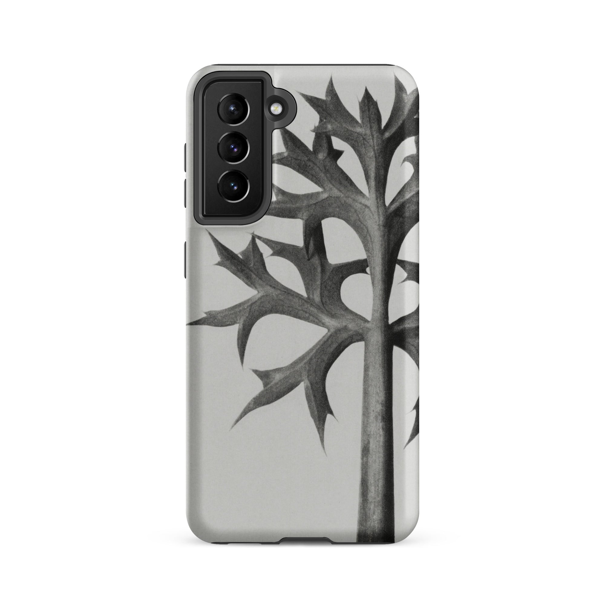 Eryngium Bourgatii (mediterranean Sea Holly) Karl Blossfeldt Samsung Case, Galaxy S21 Fe / Matte, Gray Smartphone Case Black White Abstract