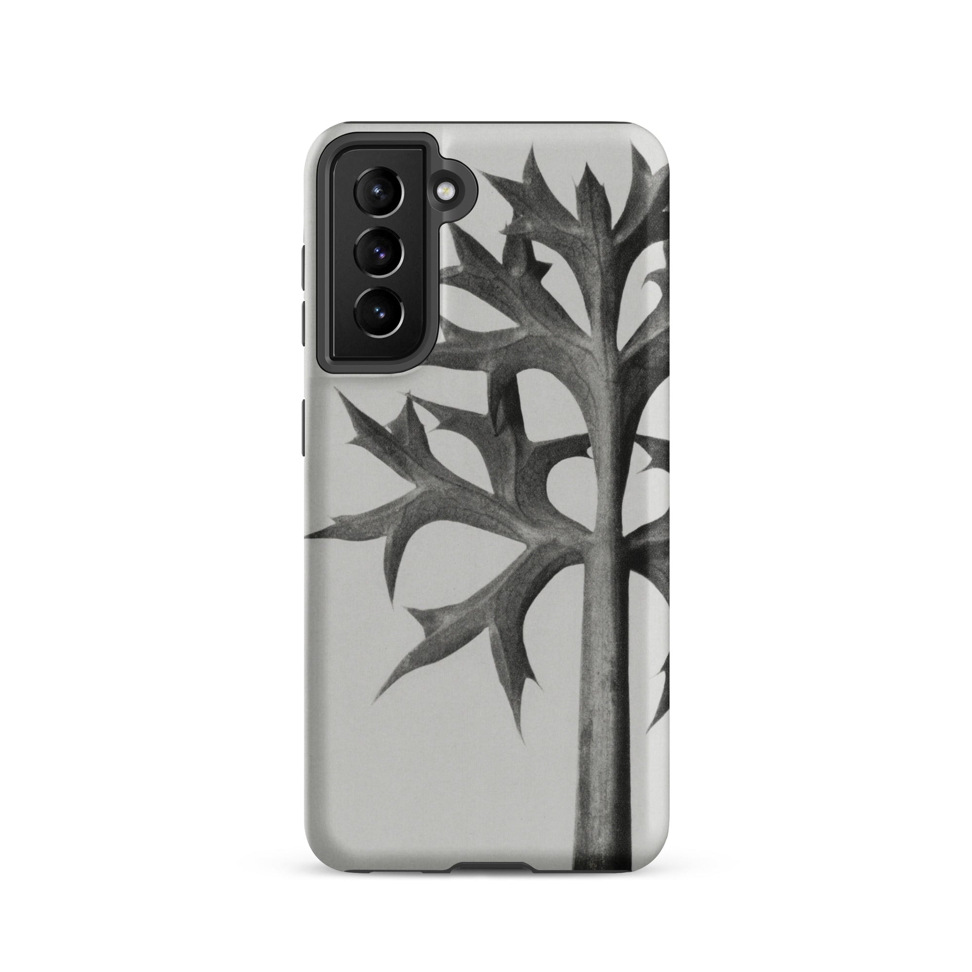 Eryngium Bourgatii (mediterranean Sea Holly) Karl Blossfeldt Samsung Case, Galaxy S21 / Matte, White Smartphone Case Black Leaf Design