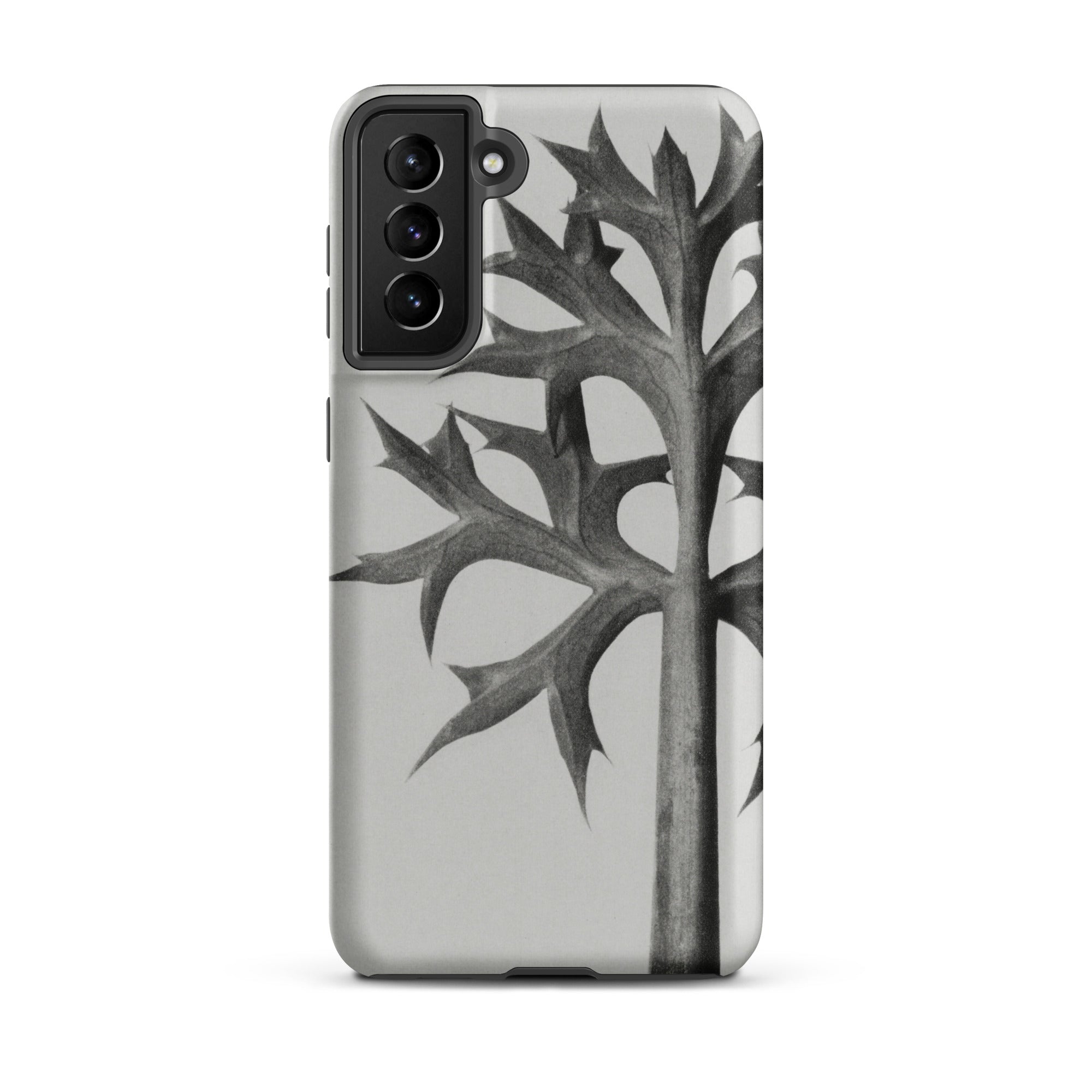 Eryngium Bourgatii (mediterranean Sea Holly) Karl Blossfeldt Samsung Case, Galaxy S21 Plus / Matte, Smartphone Black White Botanical