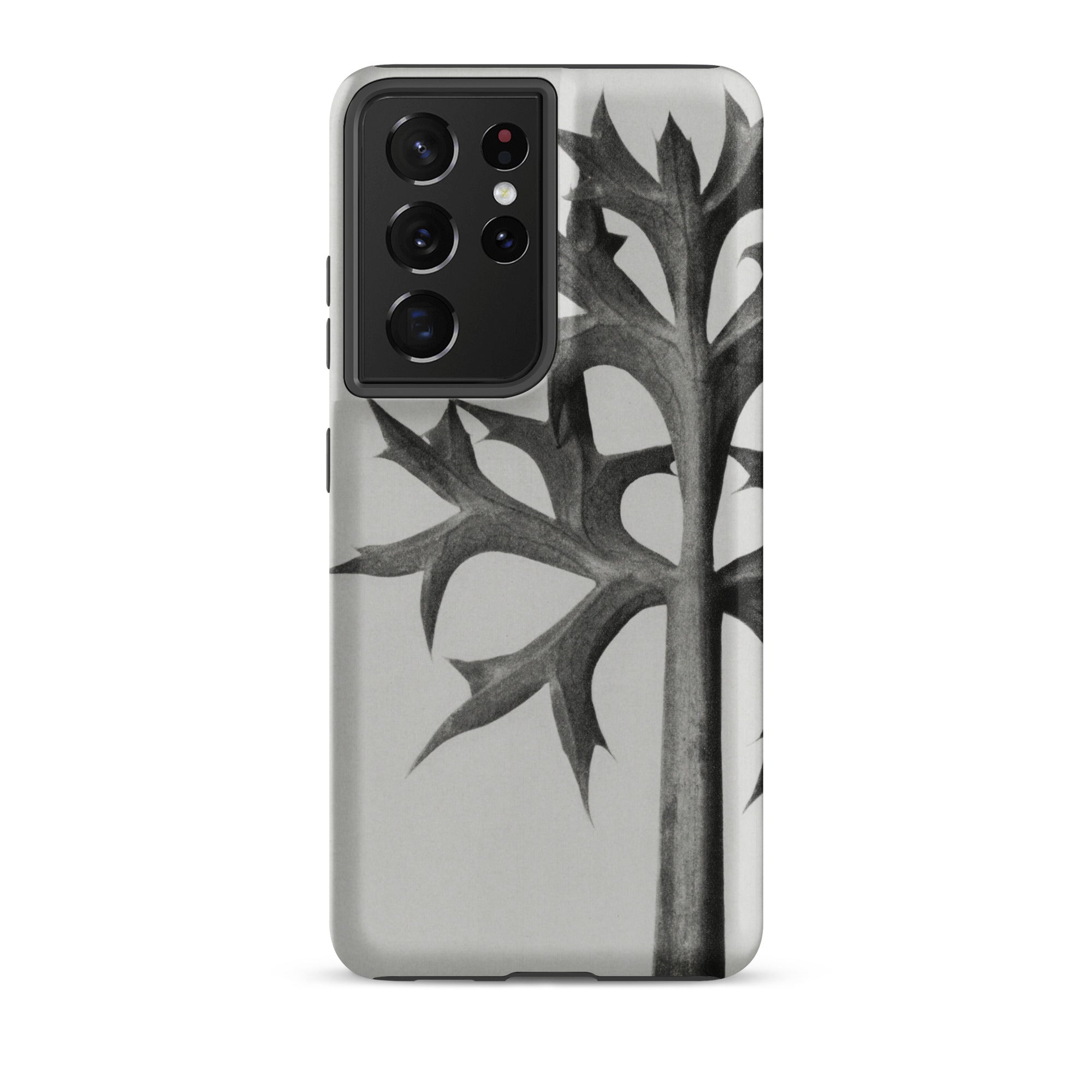 Eryngium Bourgatii (mediterranean Sea Holly) Karl Blossfeldt Samsung Case, Galaxy S21 Ultra / Matte, White Smartphone Case Black Leaf Design