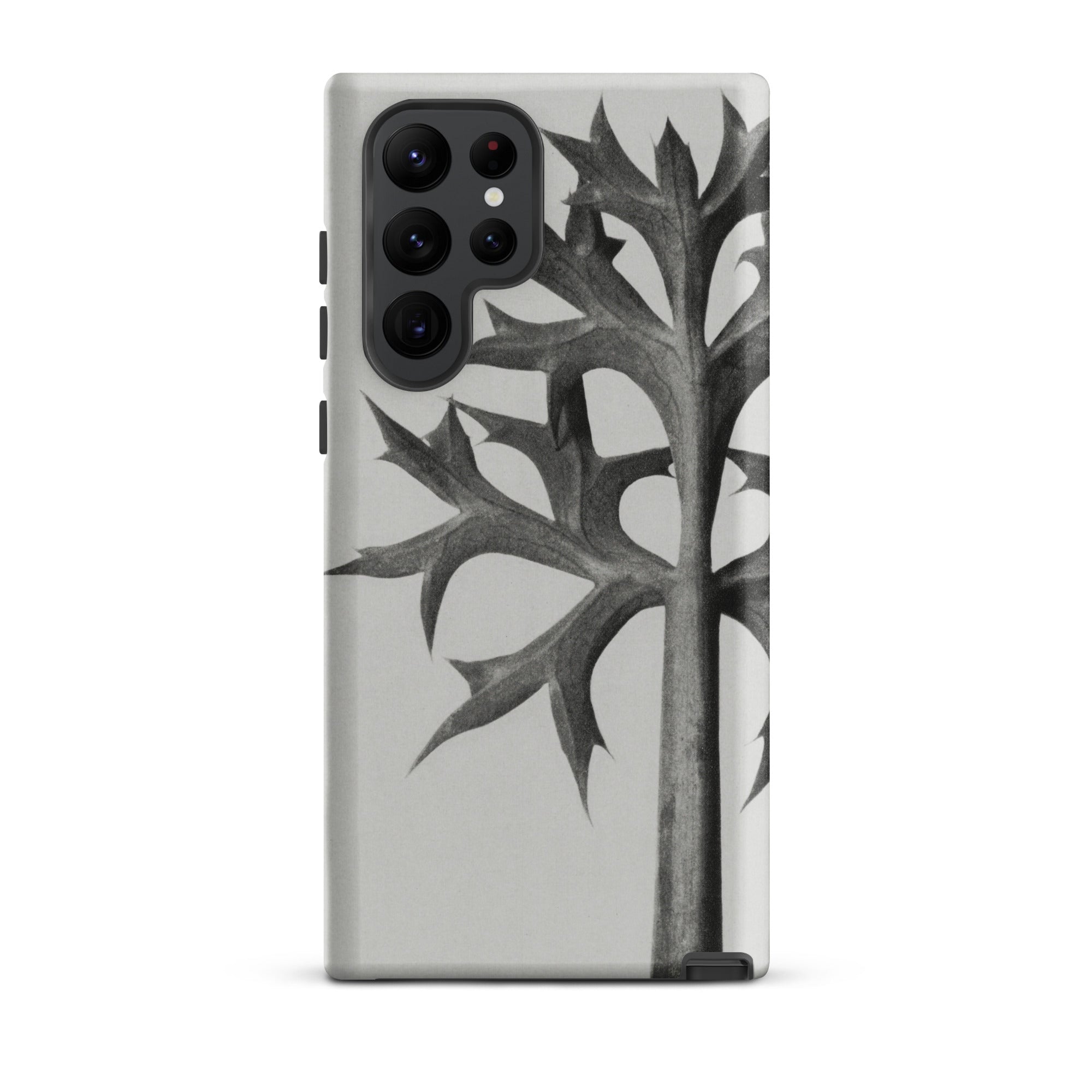Eryngium Bourgatii (mediterranean Sea Holly) Karl Blossfeldt Samsung Case, Galaxy S22 Ultra / Matte, Smartphone Case Black White Thorny