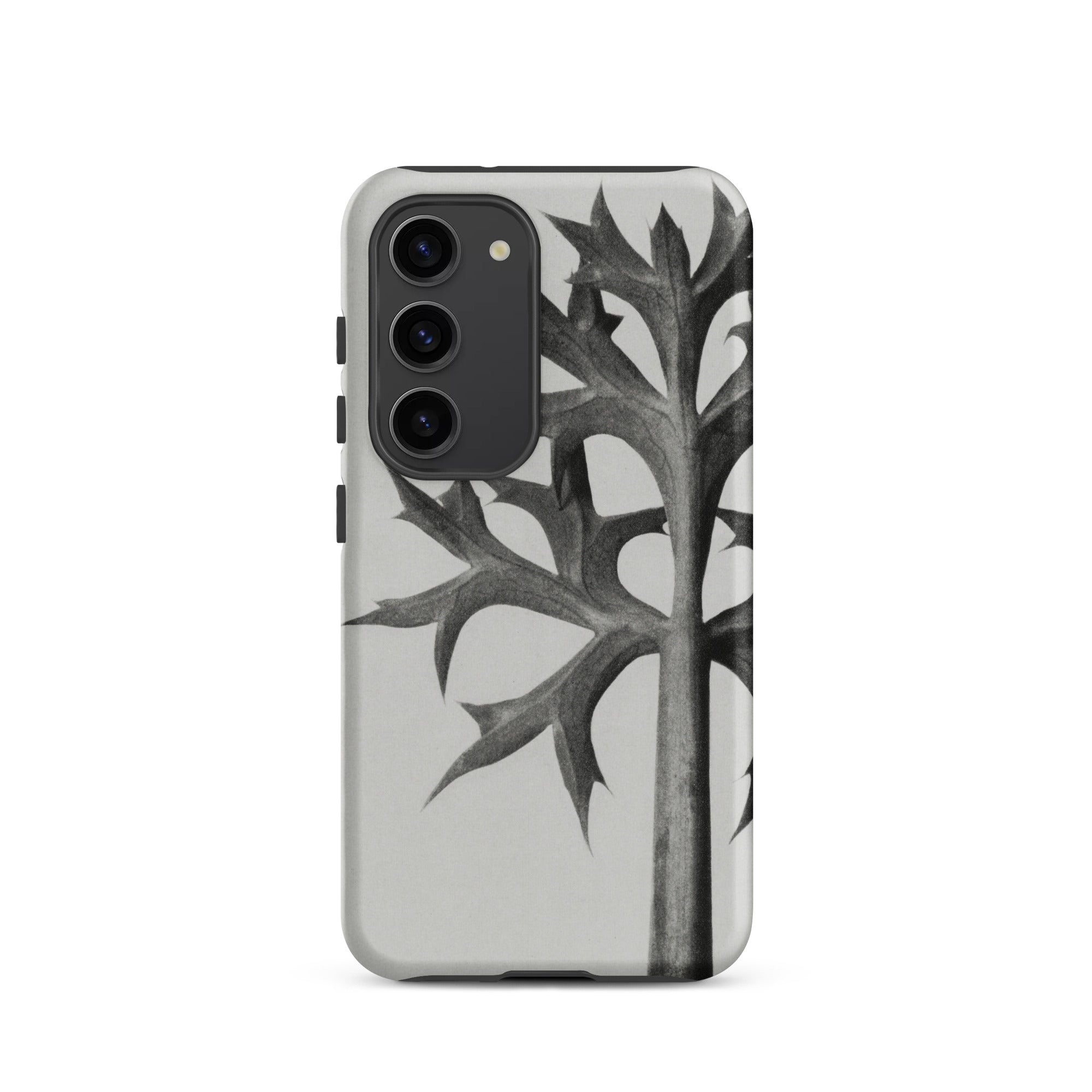 Eryngium Bourgatii (mediterranean Sea Holly) Karl Blossfeldt Samsung Case, Galaxy S23 / Matte, Phone Case Black and White Thorny Plant