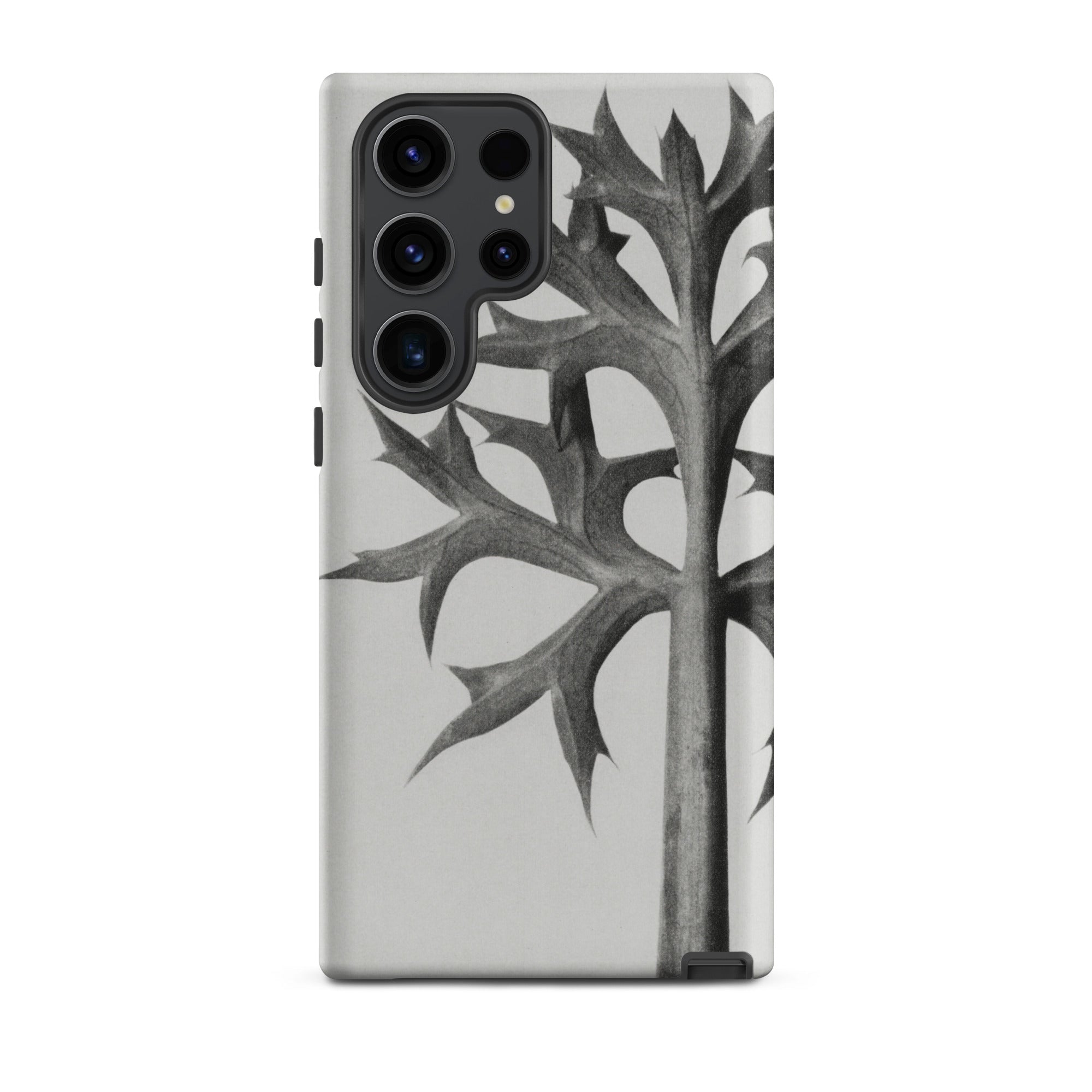 Eryngium Bourgatii (mediterranean Sea Holly) Karl Blossfeldt Samsung Case, Galaxy S23 Ultra / Matte, Smartphone Case Black White Leaf Design