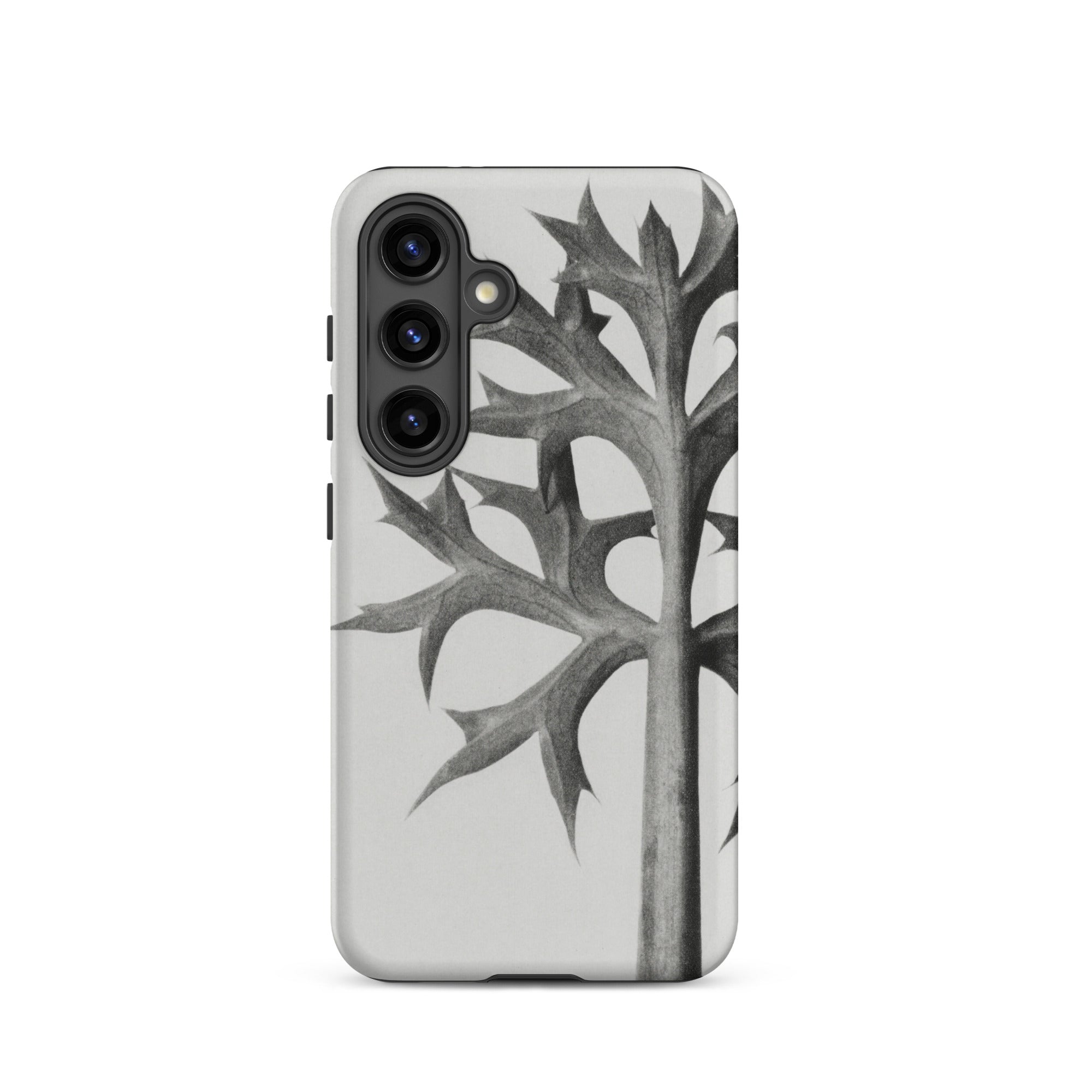Eryngium Bourgatii (mediterranean Sea Holly) Karl Blossfeldt Samsung Case, Galaxy S24 / Matte, White Smartphone Case Black and Leaf Design
