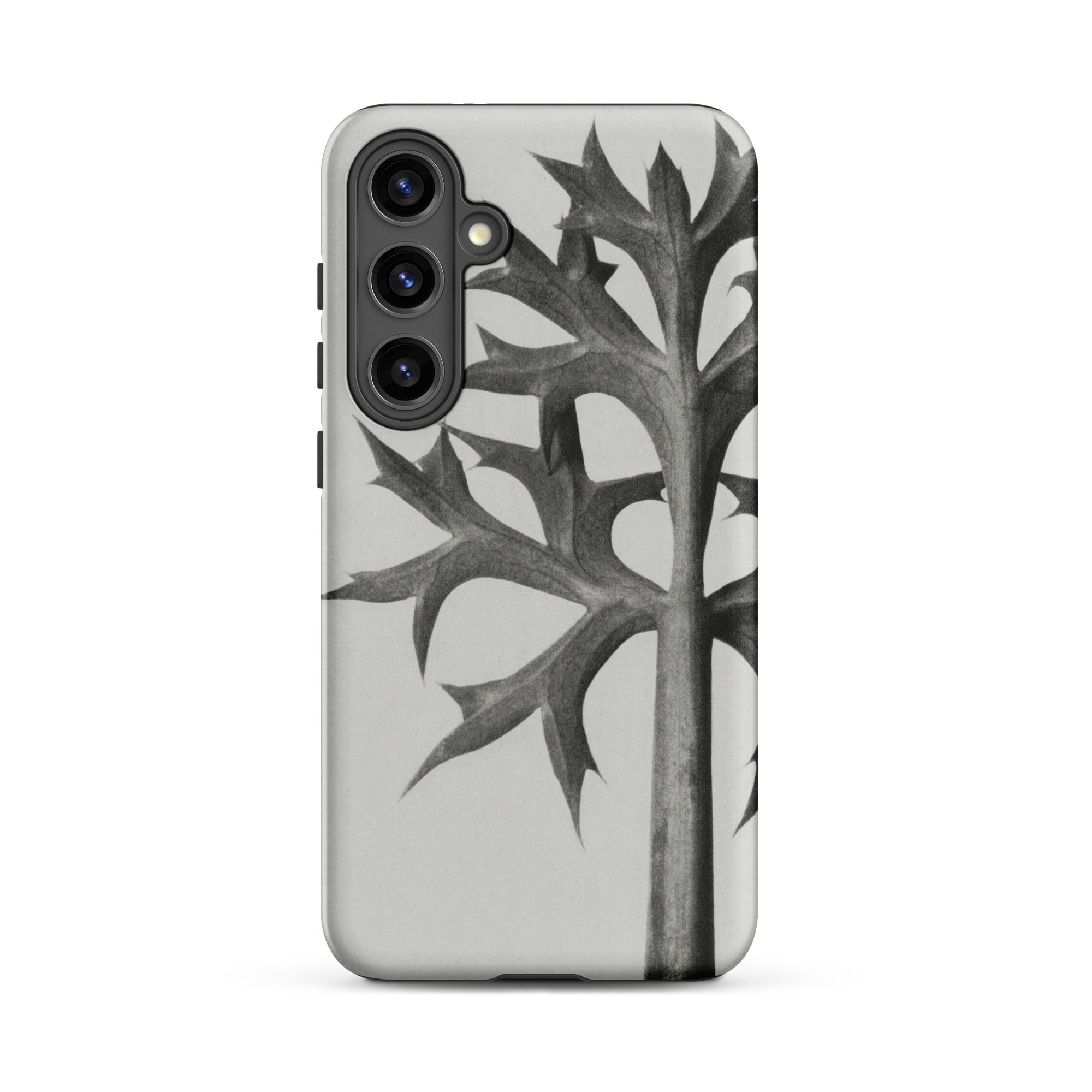 Eryngium Bourgatii (mediterranean Sea Holly) Karl Blossfeldt Samsung Case, Galaxy S24 Plus / Matte, Smartphone Case Black White Botanical