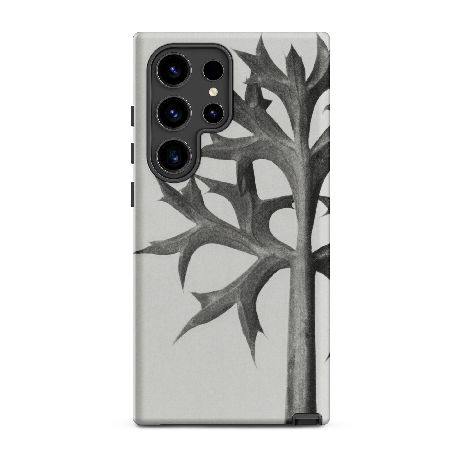 Eryngium Bourgatii (mediterranean Sea Holly) Karl Blossfeldt Samsung Case, Galaxy S24 Ultra / Matte, White Phone Case Black Abstract Tree
