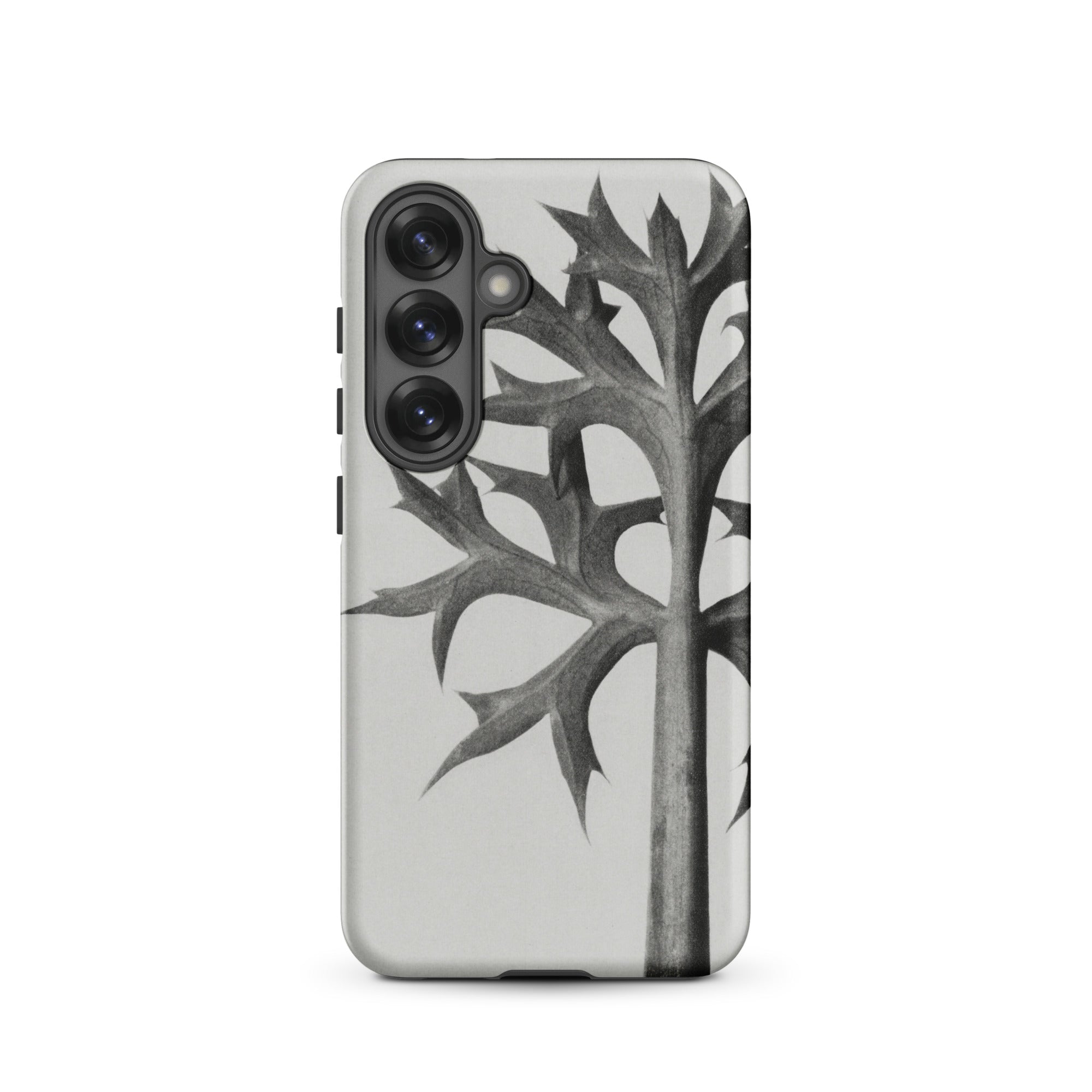 Eryngium Bourgatii (mediterranean Sea Holly) Karl Blossfeldt Samsung Case, Galaxy S25 / Matte, Gray Smartphone Case Black White Thorny Leaf