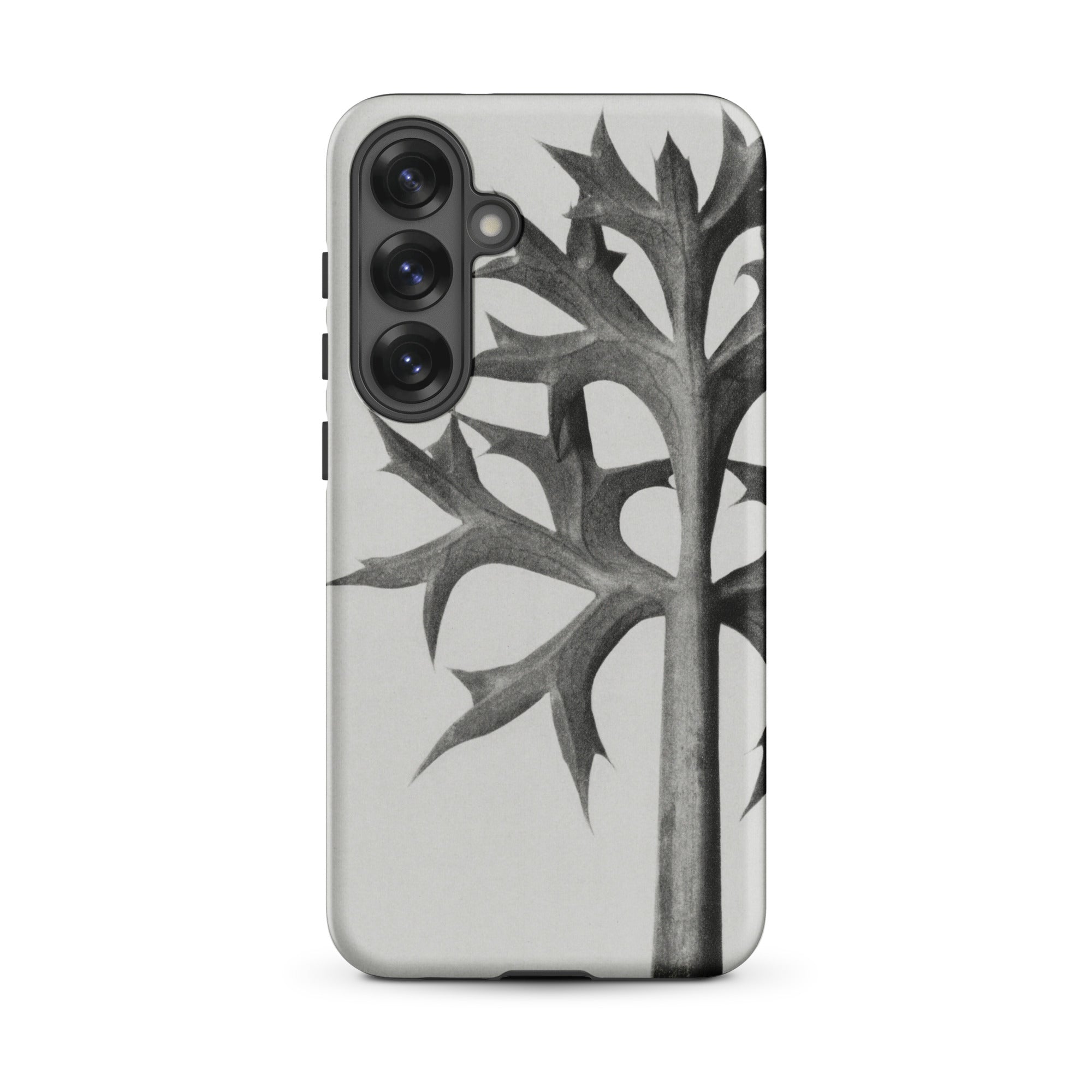 Eryngium Bourgatii (mediterranean Sea Holly) Karl Blossfeldt Samsung Case, Galaxy S25 Plus / Matte, White Phone Case Black Abstract Leaf