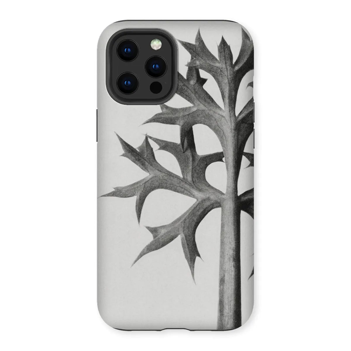 Eryngium Bourgatii (mediterranean Sea Holly) By Karl Blossfeldt Tough Phone Case - Iphone 13 Pro Max / Matte - Mobile