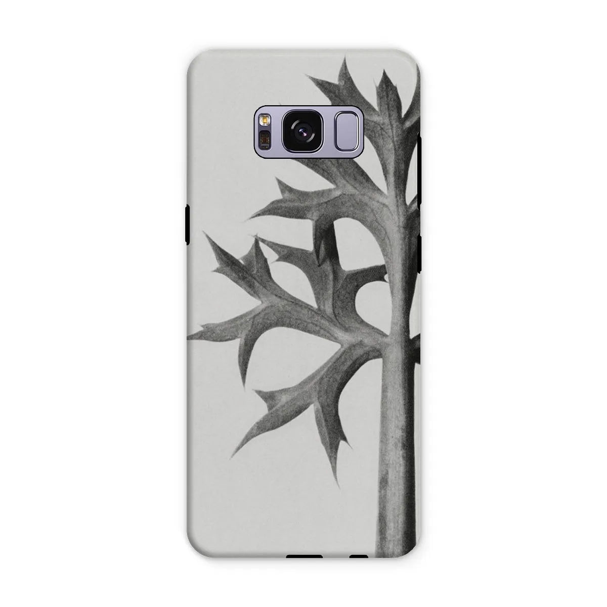 Eryngium Bourgatii (mediterranean Sea Holly) By Karl Blossfeldt Tough Phone Case - Samsung Galaxy S8 Plus / Matte
