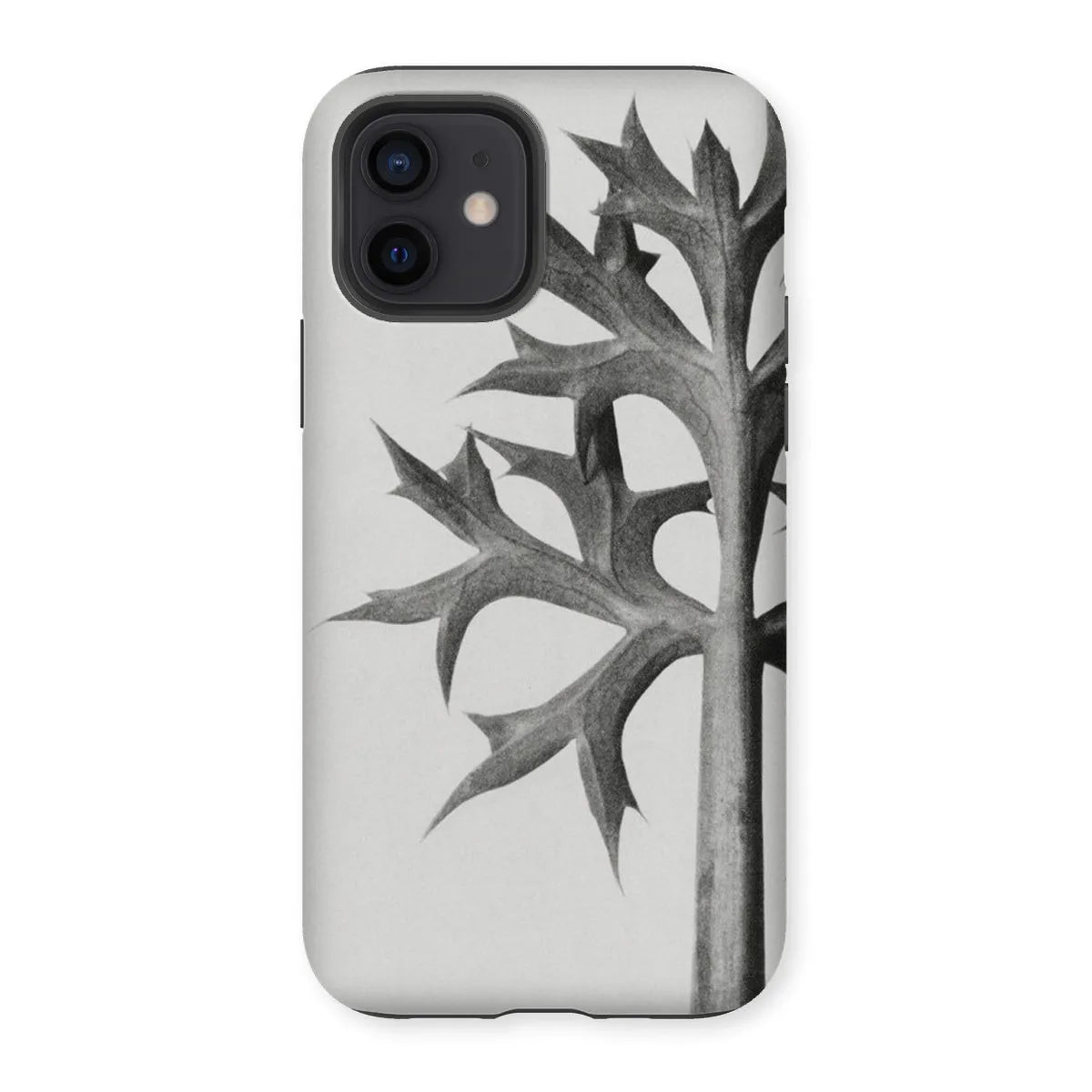 Eryngium Bourgatii (mediterranean Sea Holly) By Karl Blossfeldt Tough Phone Case - Iphone 12 / Matte - Mobile Phone