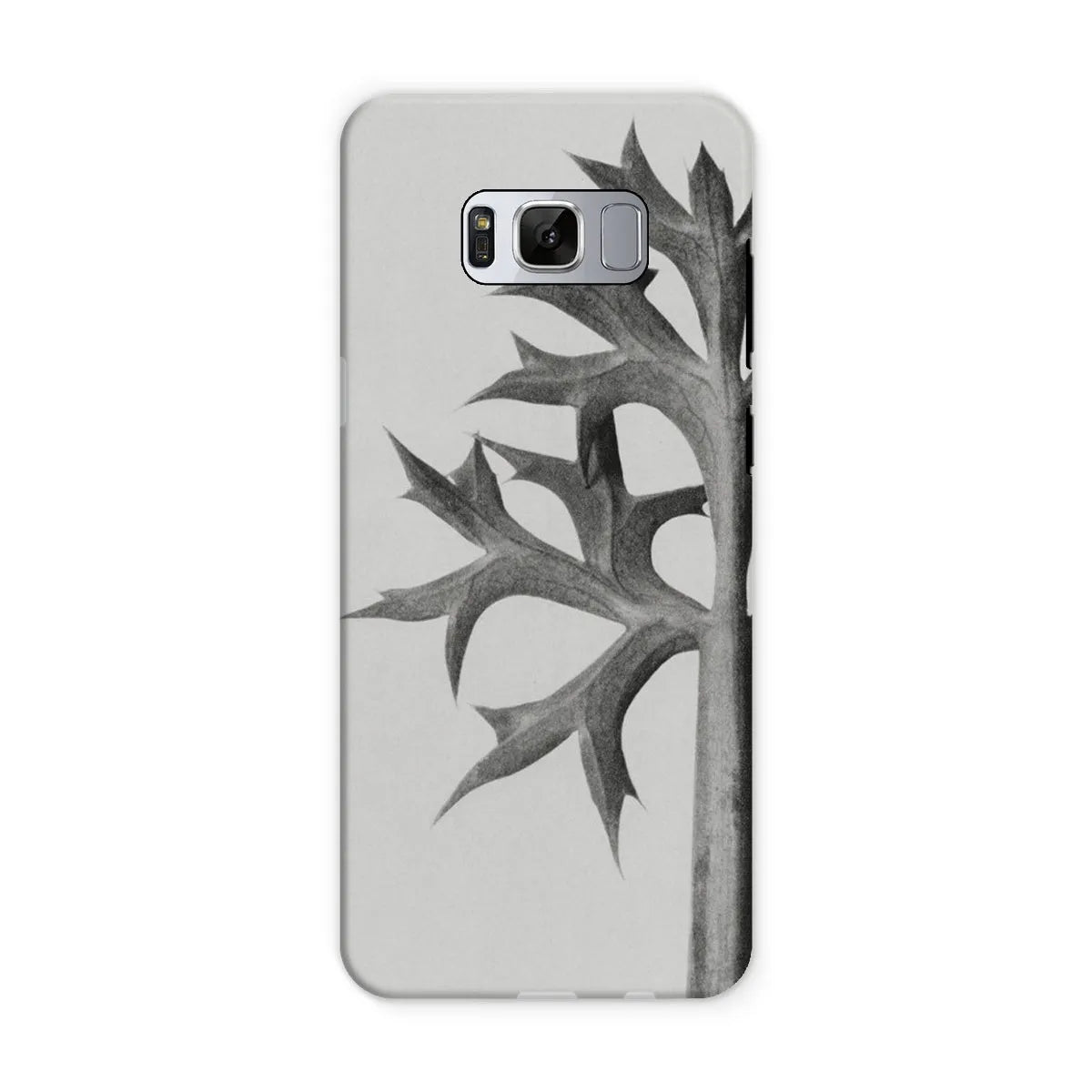 Eryngium Bourgatii (mediterranean Sea Holly) By Karl Blossfeldt Tough Phone Case - Samsung Galaxy S8 / Matte - Mobile