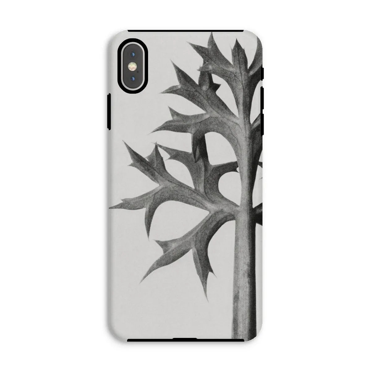 Eryngium Bourgatii (mediterranean Sea Holly) By Karl Blossfeldt Tough Phone Case - Iphone Xs Max / Matte - Mobile Phone