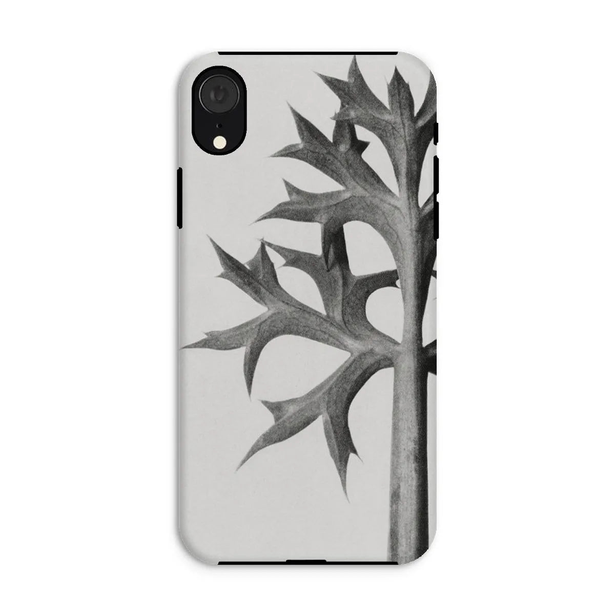 Eryngium Bourgatii (mediterranean Sea Holly) By Karl Blossfeldt Tough Phone Case - Iphone Xr / Matte - Mobile Phone