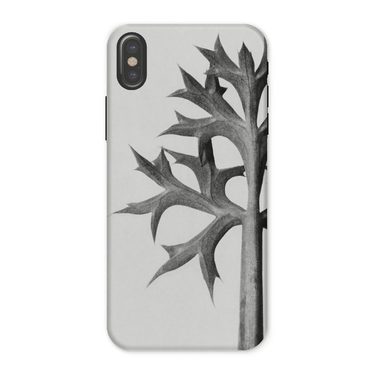 Eryngium Bourgatii (mediterranean Sea Holly) By Karl Blossfeldt Tough Phone Case - Iphone x / Matte - Mobile Phone
