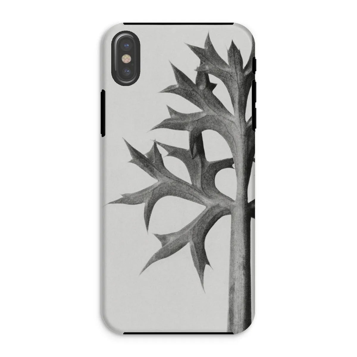 Eryngium Bourgatii (mediterranean Sea Holly) By Karl Blossfeldt Tough Phone Case - Iphone Xs / Matte - Mobile Phone