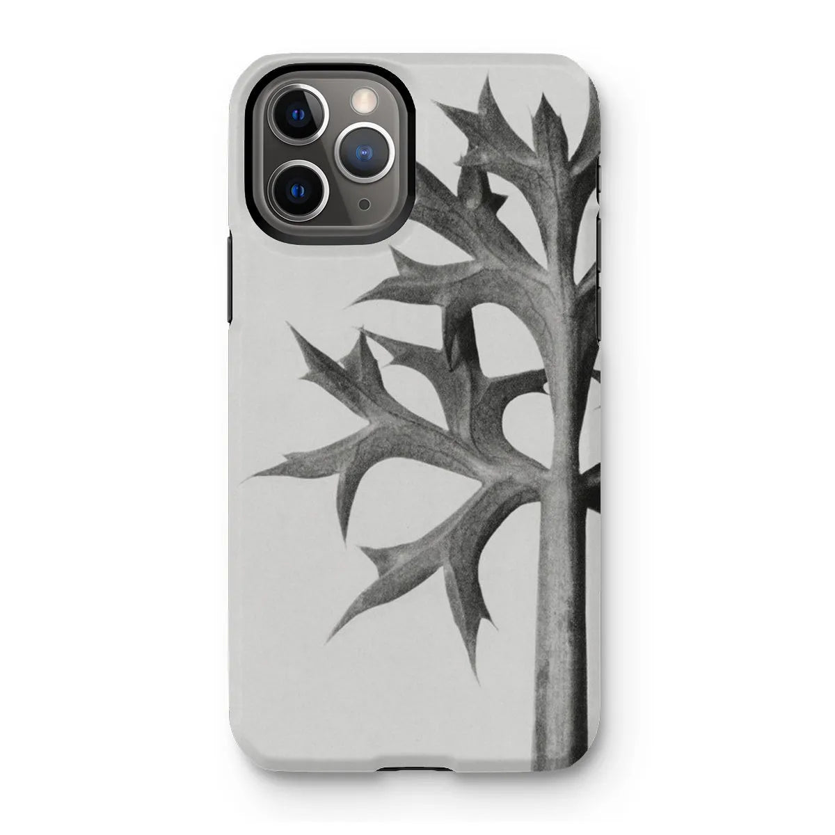 Eryngium Bourgatii (mediterranean Sea Holly) By Karl Blossfeldt Tough Phone Case - Iphone 11 Pro / Matte - Mobile Phone