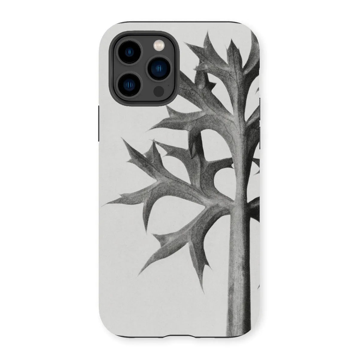 Eryngium Bourgatii (mediterranean Sea Holly) By Karl Blossfeldt Tough Phone Case - Iphone 14 Pro / Matte - Mobile Phone