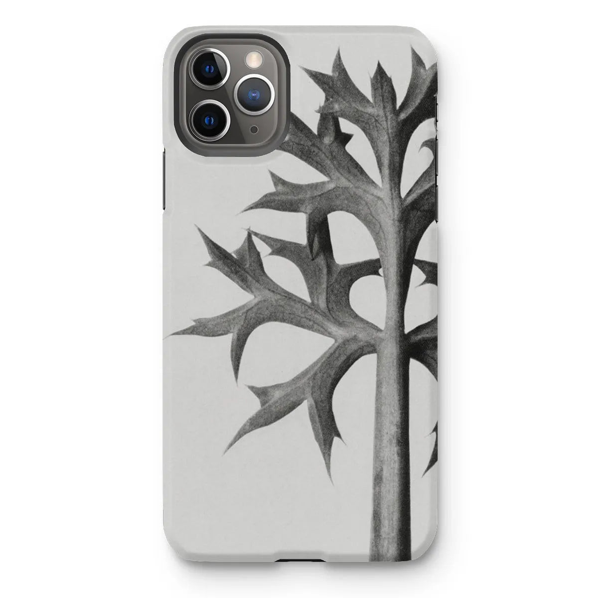 Eryngium Bourgatii (mediterranean Sea Holly) By Karl Blossfeldt Tough Phone Case - Iphone 11 Pro Max / Matte - Mobile