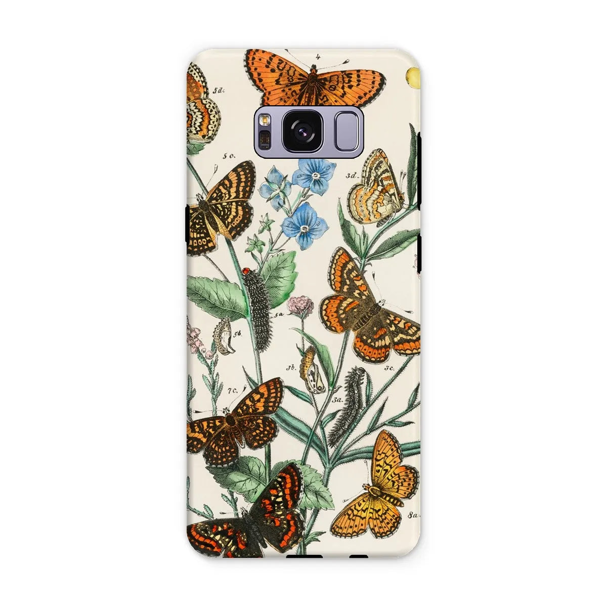 European Butterflies And Moths 2 Art Phone Case - William Forsell Kirby - Samsung Galaxy S8 Plus / Matte - Mobile Phone