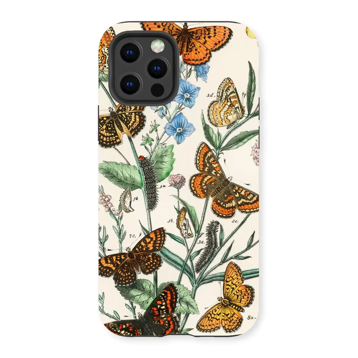 European Butterflies And Moths 2 Art Phone Case - William Forsell Kirby - Iphone 13 Pro / Matte - Mobile Phone Cases