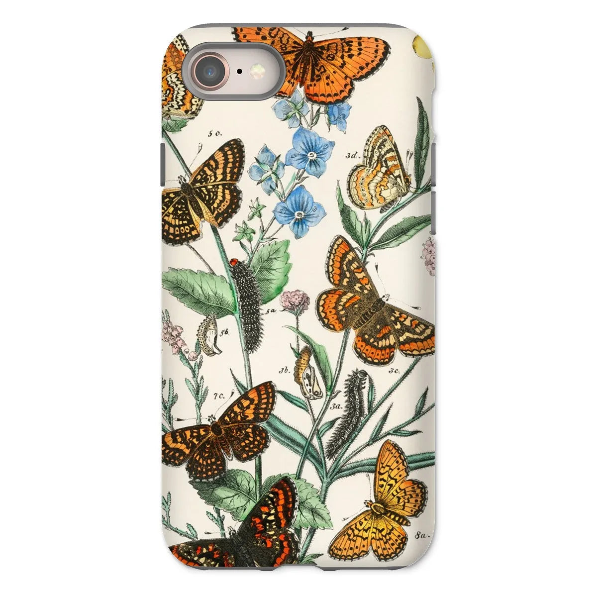 European Butterflies And Moths 2 Art Phone Case - William Forsell Kirby - Iphone 8 / Matte - Mobile Phone Cases