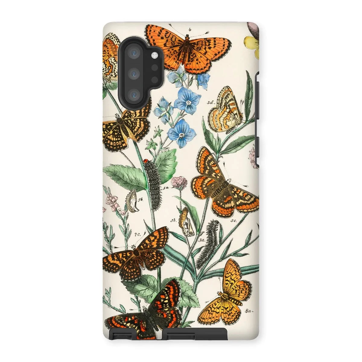 European Butterflies And Moths 2 Art Phone Case - William Forsell Kirby - Samsung Galaxy Note 10p / Matte - Mobile