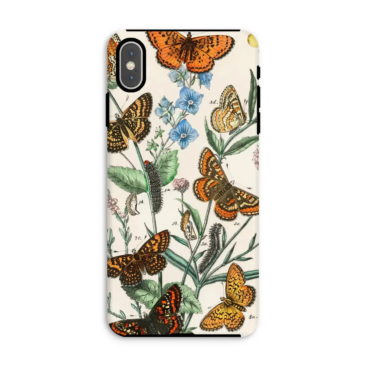 European Butterflies And Moths 2 Art Phone Case - William Forsell Kirby - Iphone Xs Max / Matte - Mobile Phone Cases