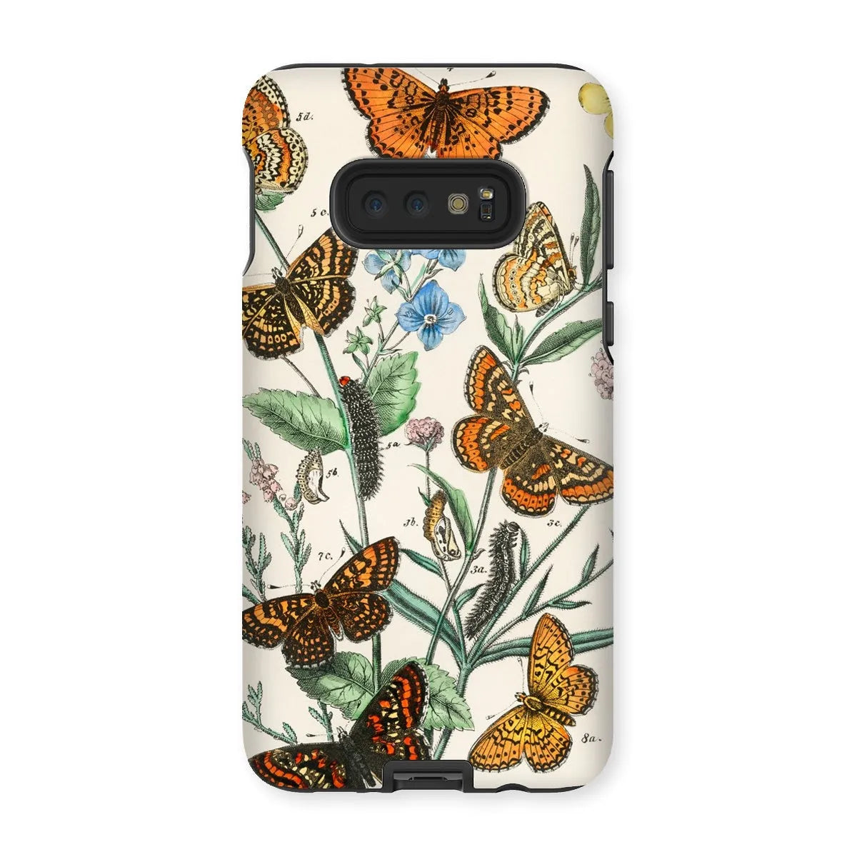 European Butterflies And Moths 2 Art Phone Case - William Forsell Kirby - Samsung Galaxy S10e / Matte - Mobile Phone