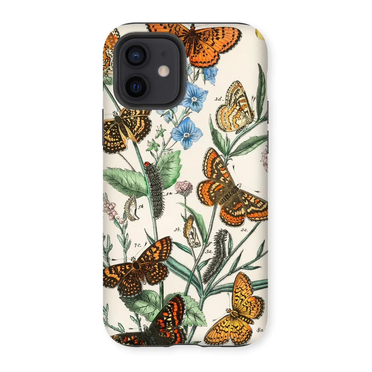 European Butterflies And Moths 2 Art Phone Case - William Forsell Kirby - Iphone 12 / Matte - Mobile Phone Cases
