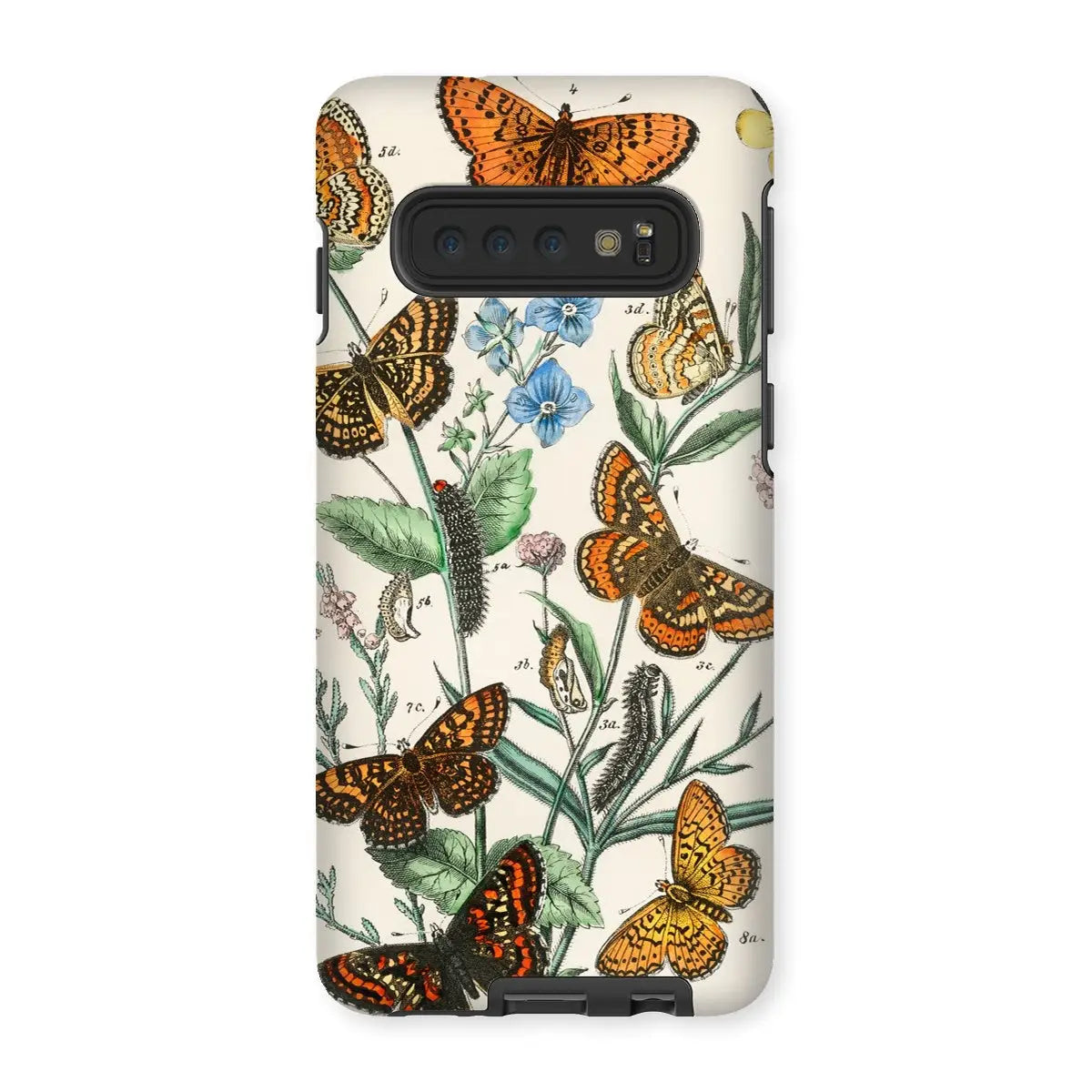European Butterflies And Moths 2 Art Phone Case - William Forsell Kirby - Samsung Galaxy S10 / Matte - Mobile Phone